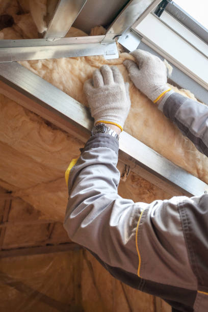 Best Blown-in Insulation  in Germantown, TN