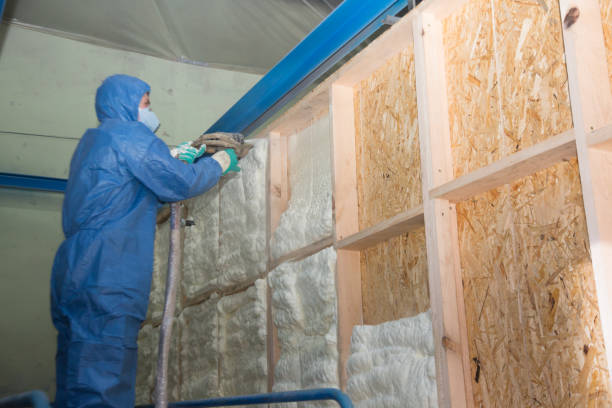 Best Insulation Inspection Services  in Germantown, TN